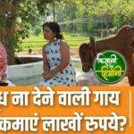 This farmer is earning lakhs every month even from cows that do not give milk, watch video