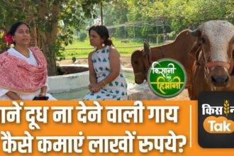 This farmer is earning lakhs every month even from cows that do not give milk, watch video