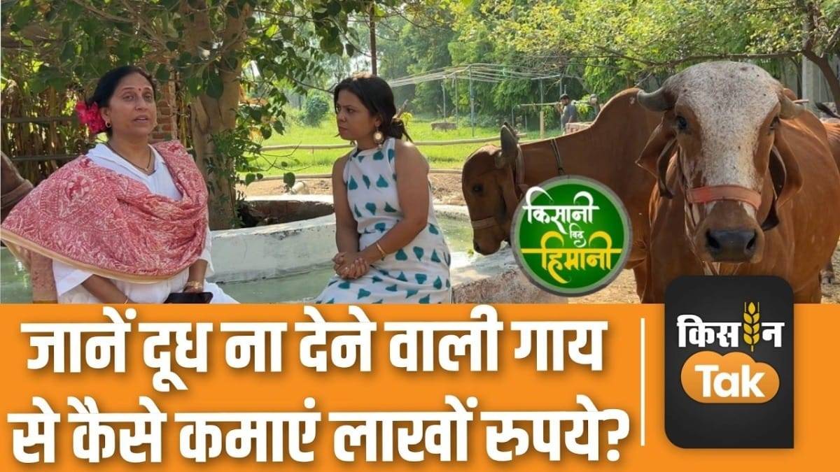 This farmer is earning lakhs every month even from cows that do not give milk, watch video