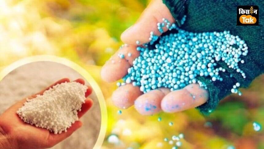 डीएपी खाद से गेहूं फसल को फायदा