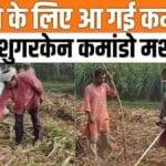 This machine will reduce the cost of sugarcane farmers, their income will increase, watch video