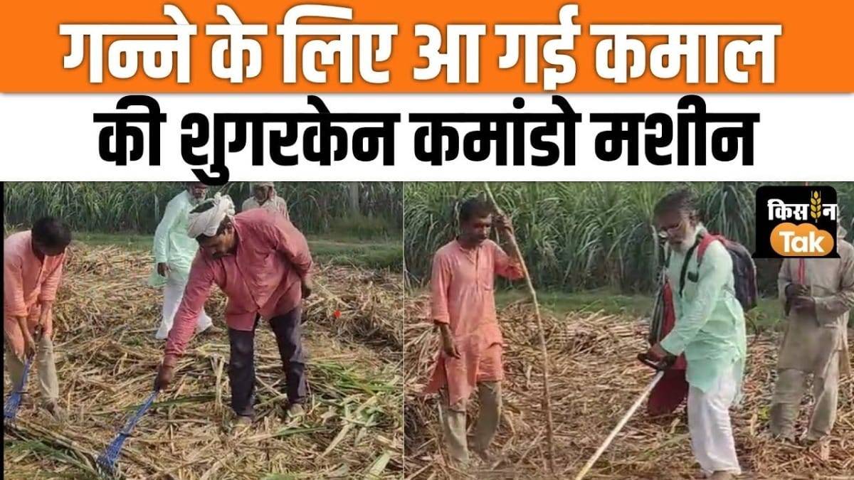 This machine will reduce the cost of sugarcane farmers, their income will increase, watch video