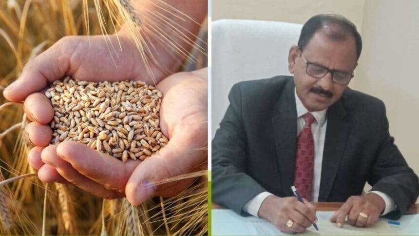 डॉ अनिल सचान बताते हैं कि ऊसर भूमि में हमेशा उचित नमी पर ही जुताई करें (फोटो- किसान तक)