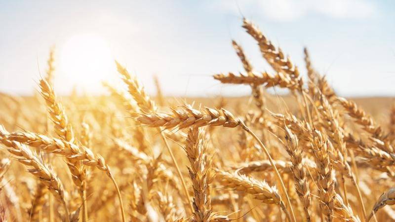 यू ऑफ एल कृषि अनुसंधान का वित्तपोषण करता है