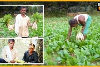 उत्तर प्रदेश के मलिहाबाद के दो किसान राजकुमार और परमेश्वर ने खेती का अनोखा मॉडल तैयार किया हैं. (Photo- Credit Kisan Tak)