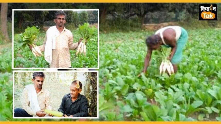 उत्तर प्रदेश के मलिहाबाद के दो किसान राजकुमार और परमेश्वर ने खेती का अनोखा मॉडल तैयार किया हैं. (Photo- Credit Kisan Tak)