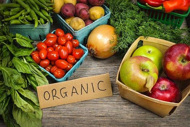 Organic Transition Initiative, the USDA