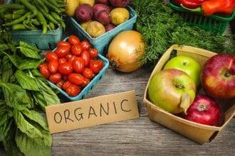 Organic Transition Initiative, the USDA