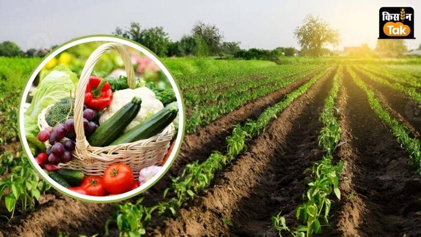 सब्जी की खेती में अच्छी कमाई करते हैं किसान उदयकुमार