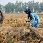 खेती-किसानी को लेकर राजनीतिक दलों को क्या गलत लगता है