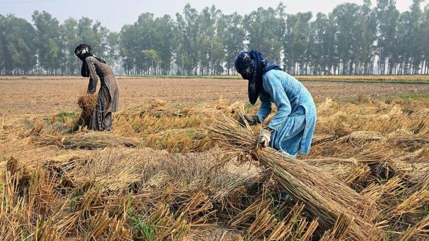 खेती-किसानी को लेकर राजनीतिक दलों को क्या गलत लगता है