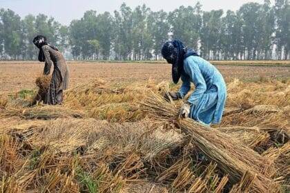 खेती-किसानी को लेकर राजनीतिक दलों को क्या गलत लगता है