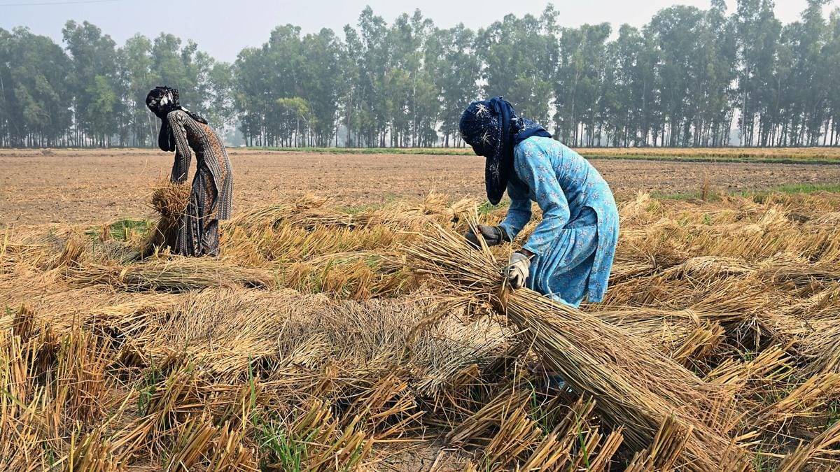 खेती-किसानी को लेकर राजनीतिक दलों को क्या गलत लगता है