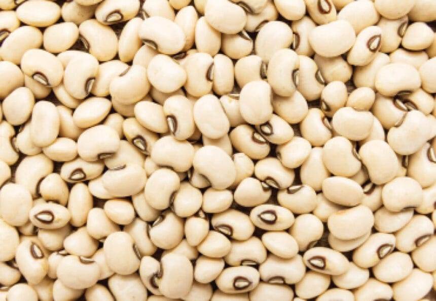 बीन्स की कीमत जल्द ही कम क्यों नहीं हो सकती?