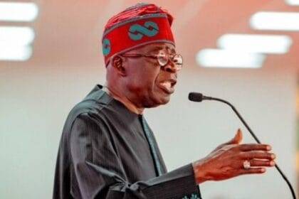 टीनुबू: हमारे कृषि कार्यक्रमों के साथ, नाइजीरिया में गरीबी, भूख अतीत की बात बन जाएगी