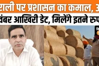 You will get money for not burning stubble, register by 30th November, watch video