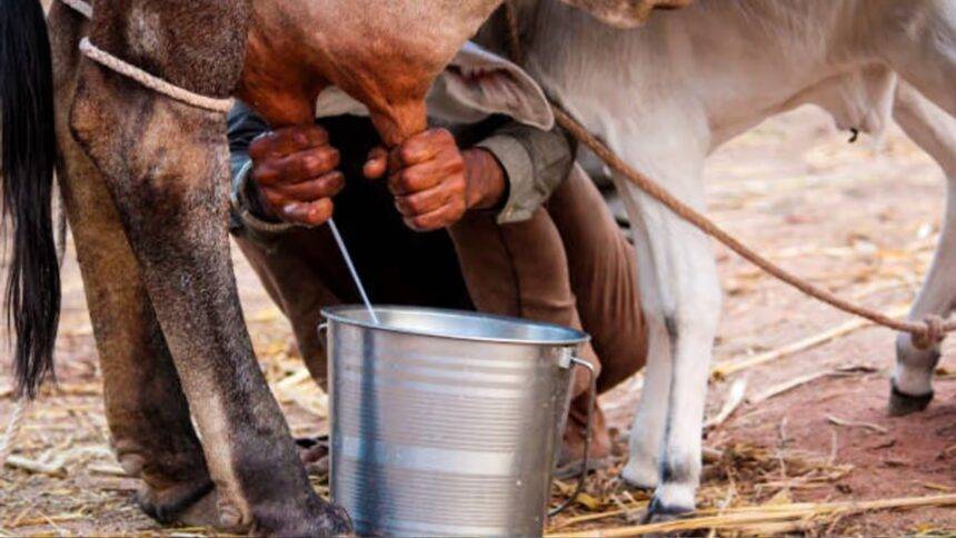 महिलाओं की भागीदारी बढ़ाने के लिए भी सीएम योगी का निर्देश.