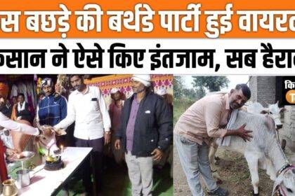 Celebrated calf's birthday, cut cake with villagers, watch this interesting video