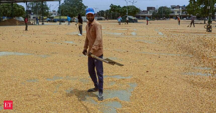 इथेनॉल के लिए मक्के के उपयोग से पोल्ट्री फ़ीड, खाद्य तेल की कीमतें बढ़ जाती हैं, जिससे चीनी उद्योग, सोयाबीन किसानों के लिए चिंताएं बढ़ जाती हैं