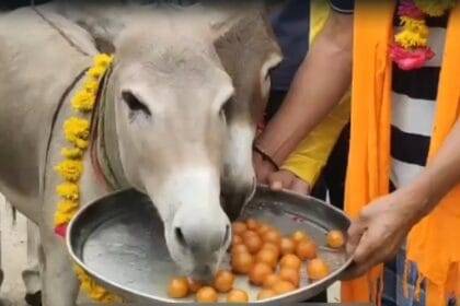 प्रतीकात्मक फोटो.