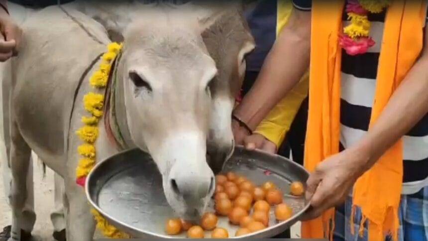 प्रतीकात्मक फोटो.