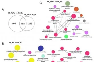 प्रकृति के शस्त्रागार का दोहन: पौधों की रक्षा तंत्र में फॉस्फोलिपिड्स