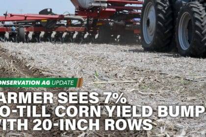 Farmer Sees 7% No-Till Corn Yield Bump with 20-Inch Rows