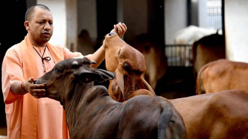 यूपी के साथ बिहार और नेपाल के पशुपालकों का मिलेगा लाभ