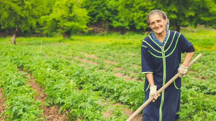 Government Providing Subsidy on this vegetable know how farmers can apply इस खास सब्जी की खेती पर सरकार दे रही सब्सिडी, जानें कैसे कर सकते हैं अप्लाई