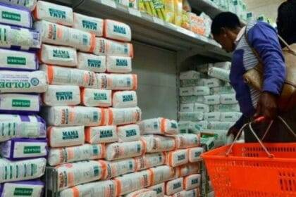 KALRO ने खुले में उगाने के लिए GMO मक्का बेचने की मंजूरी मांगी