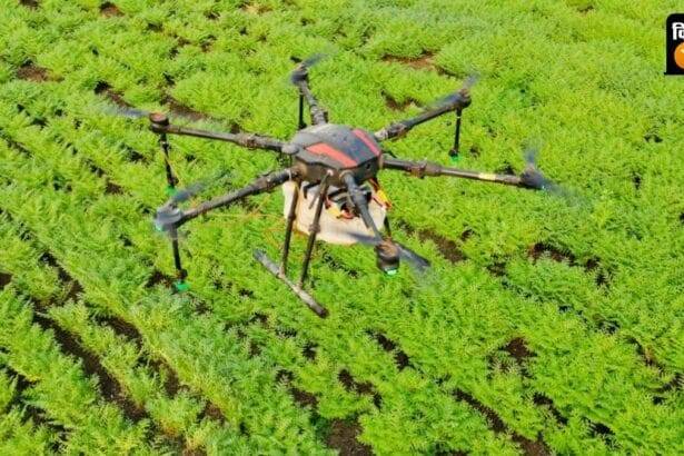 मारुत ड्रोन 1 लाख से अधिक किसानों को ड्रोन सेवाएं दे चुका है.