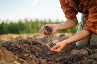 दुनिया भर में मृदा स्वास्थ्य में गिरावट; यहां 5 शीर्ष कारण दिए गए हैं
