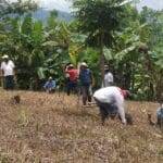 Sustainable agriculture in Nicaragua