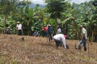 Sustainable agriculture in Nicaragua