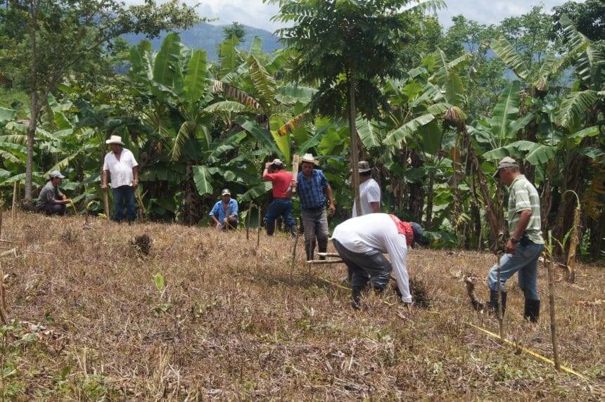 Sustainable agriculture in Nicaragua