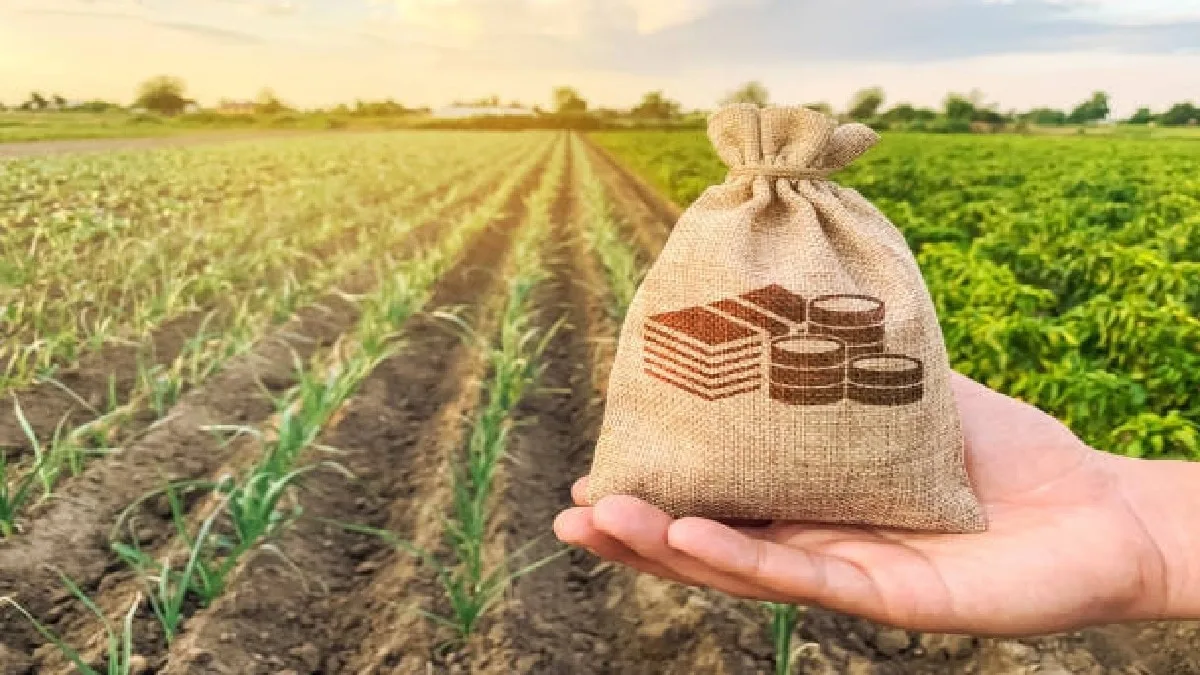 नैनो एनपीके के इस्‍तेमाल से घटेगी खेती की लागत. (सांकेतिक तस्वीर)