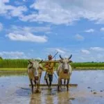किसानों की आय बढ़ाने पर सरकार का जोर