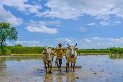 किसानों की आय बढ़ाने पर सरकार का जोर