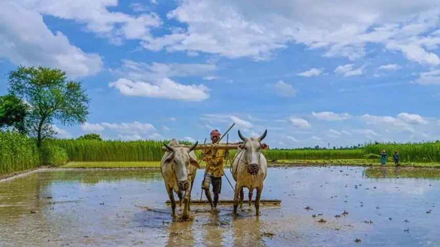 किसानों की आय बढ़ाने पर सरकार का जोर